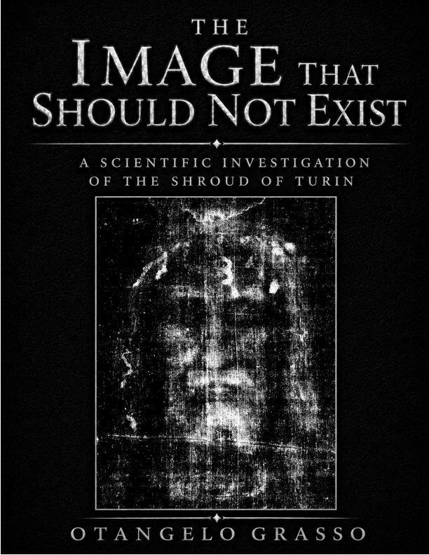 Cover of The Image That Should Not Exist